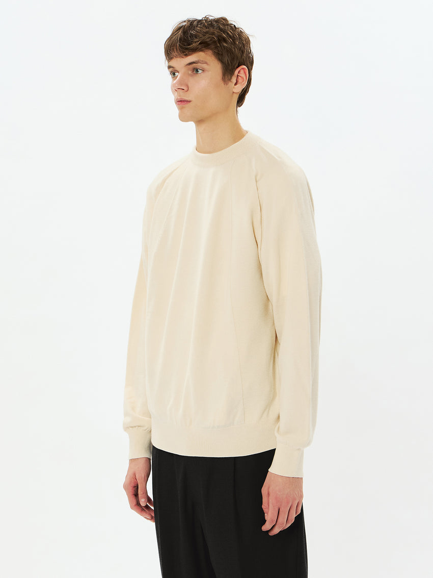 Wool x Brewed Protein Wholegarment Crew Neck