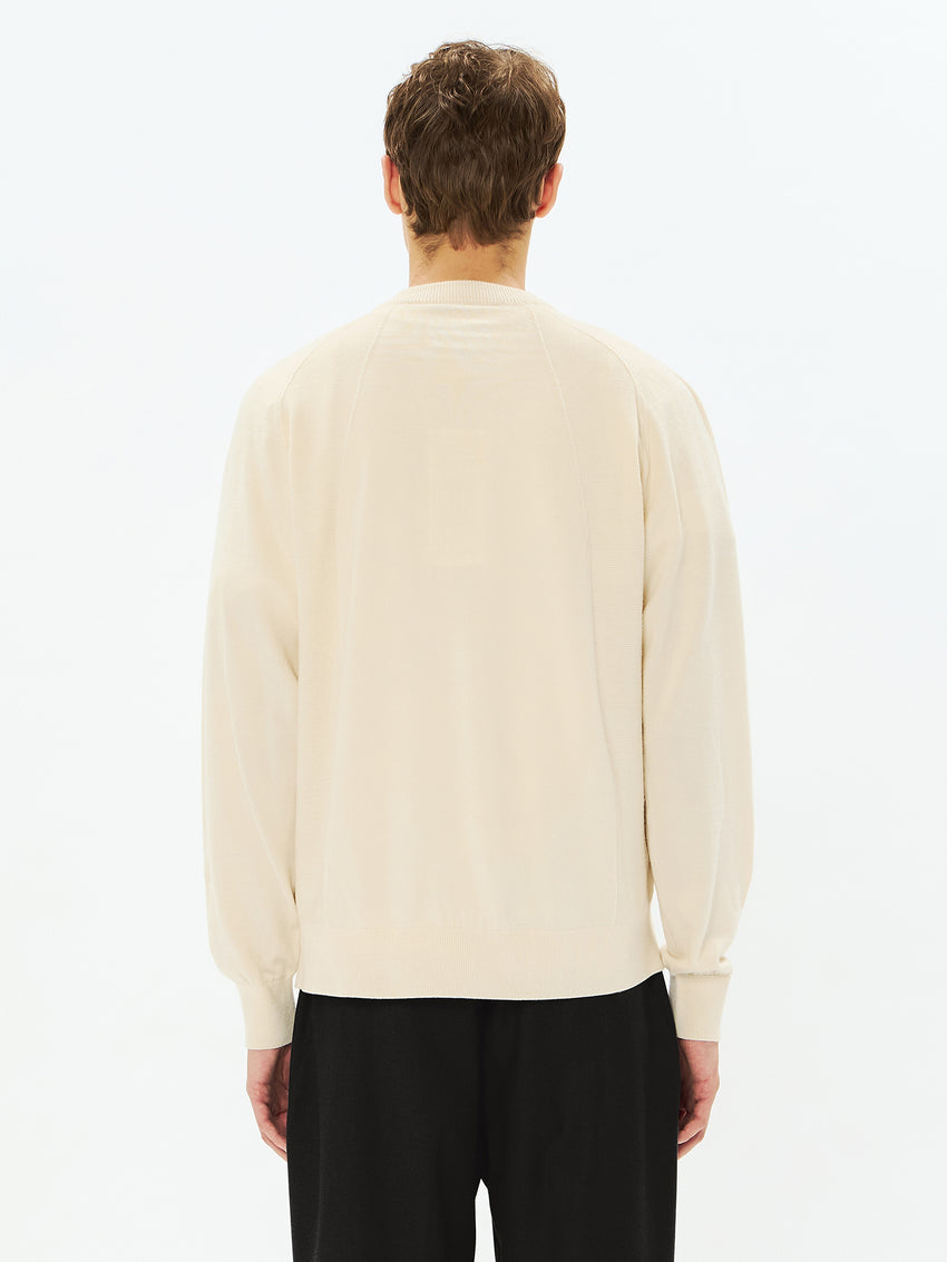 Wool x Brewed Protein Wholegarment Crew Neck